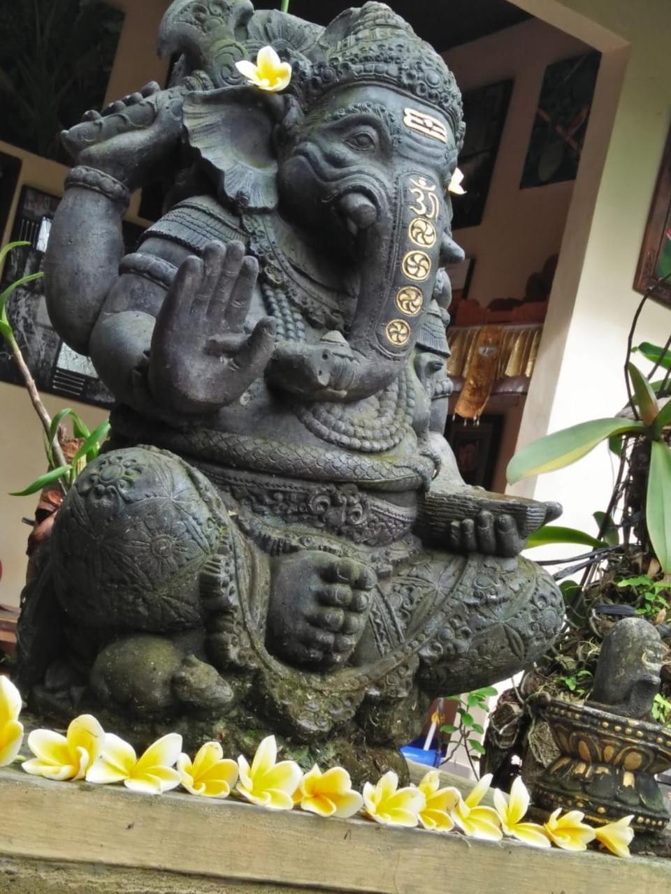 Lionk Bali House Bed and Breakfast Ubud Exteriör bild